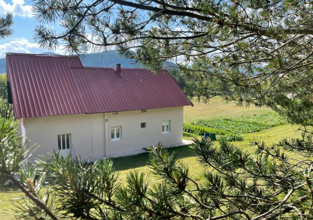 Photo of Others in Njegovuđa