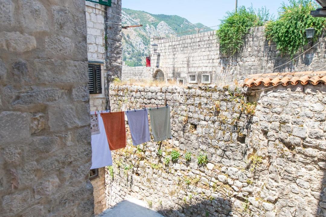 Photo of Others in Kotor Old Town