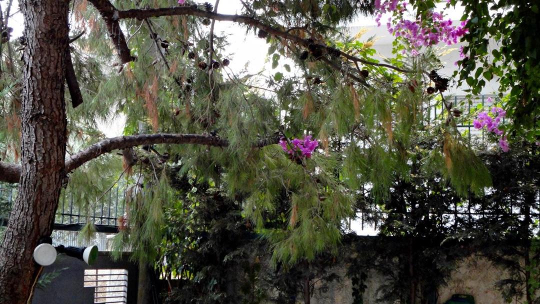 Photo of Others in Patras