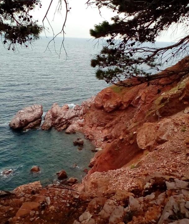 Photo of Others in Sutomore