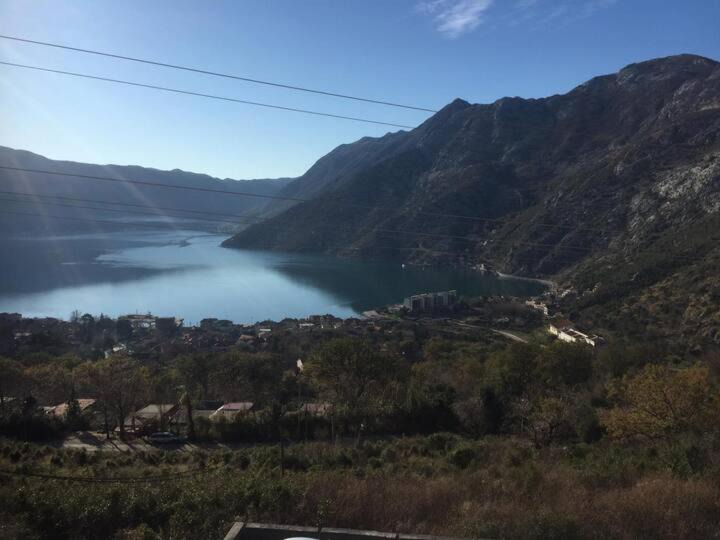Photo of Outdoor in Risan