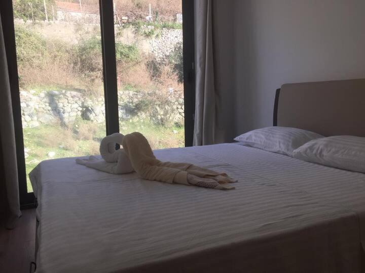 Photo of Bedroom in Risan
