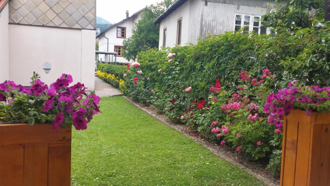 Photo of Others in Kolasin