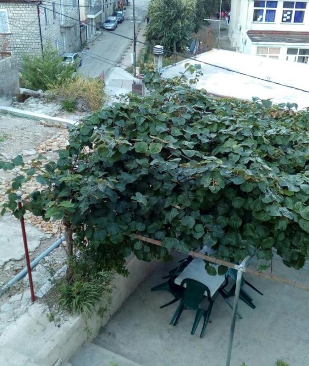 Photo of Buildings in Zelenika