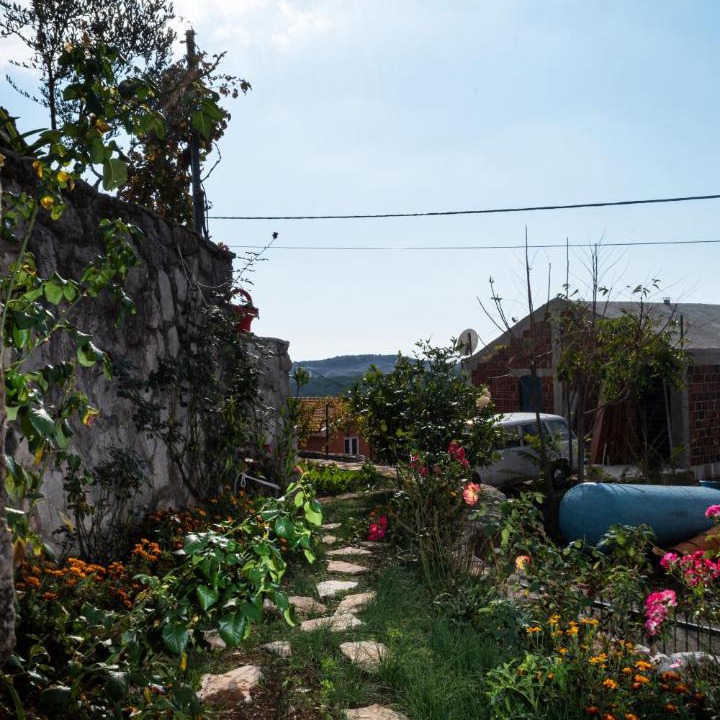 Photo of Others in Visnjeva