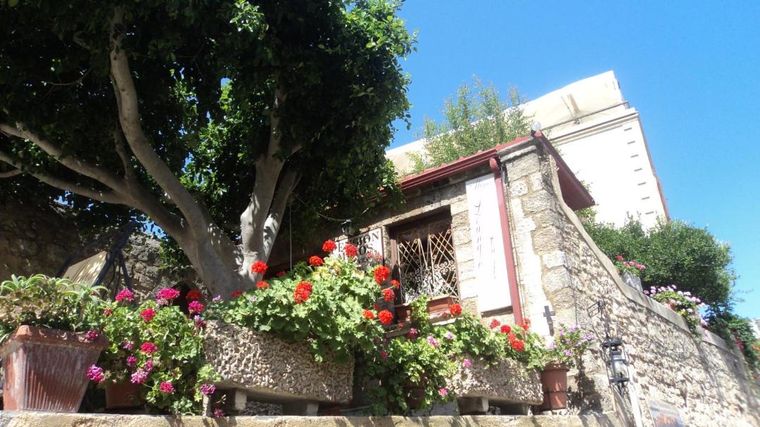 Photo of Others in Rhodes Old Town