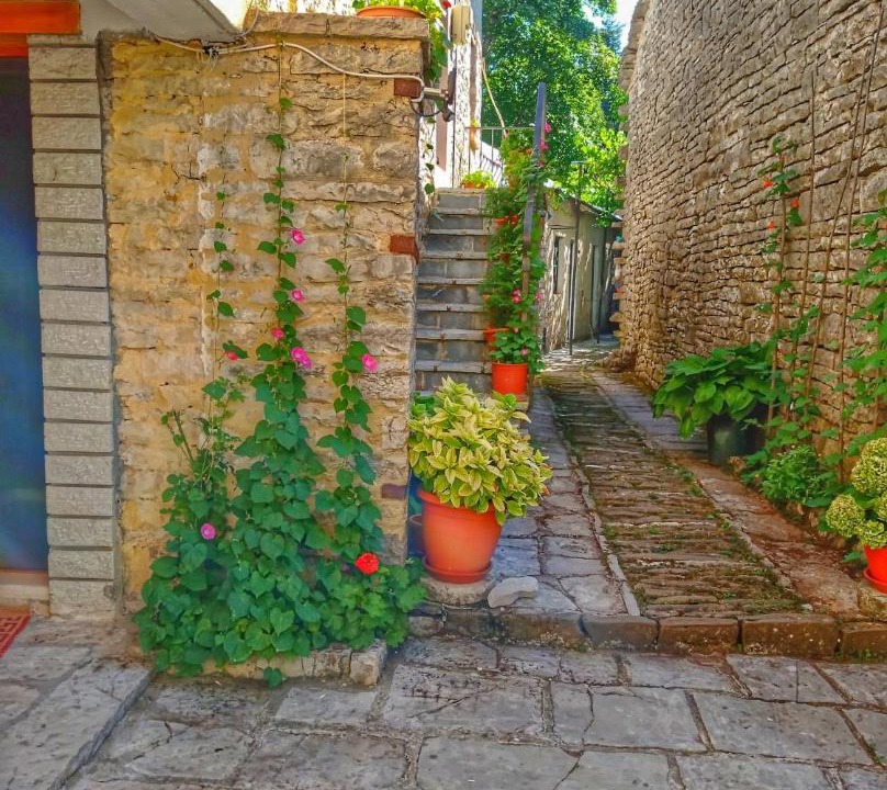 Photo of Others in Monodendri