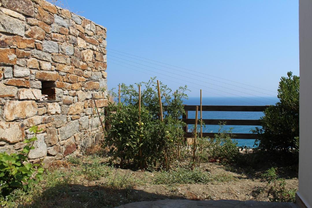 Photo of Others in Kampos