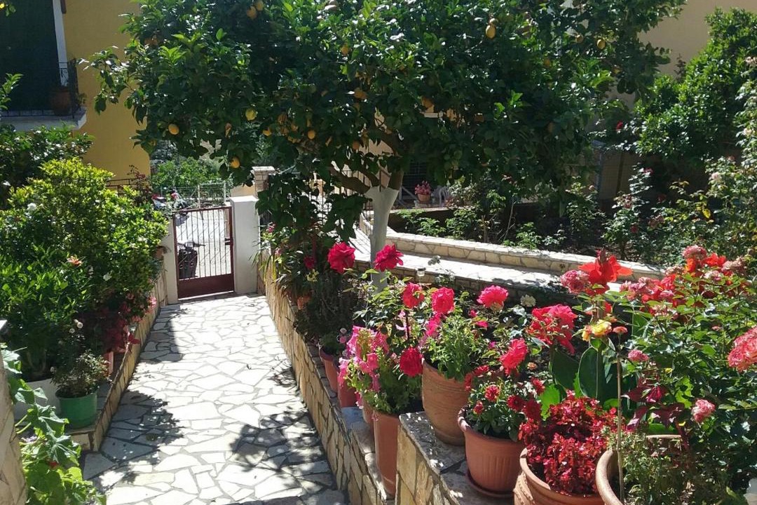 Photo of Others in Gaios