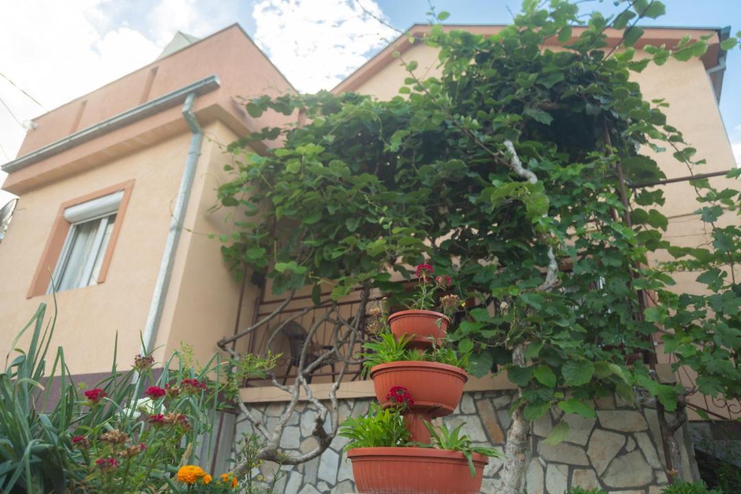 Photo of Others in Virpazar