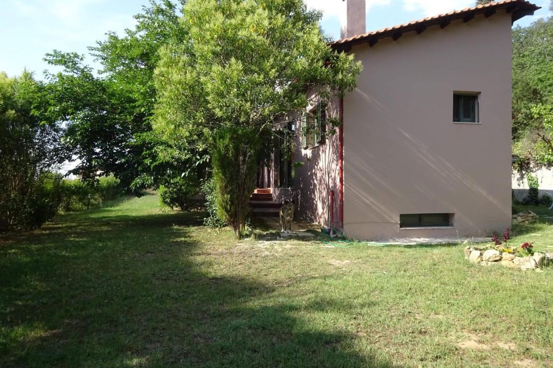 Photo of Buildings in Trilofon