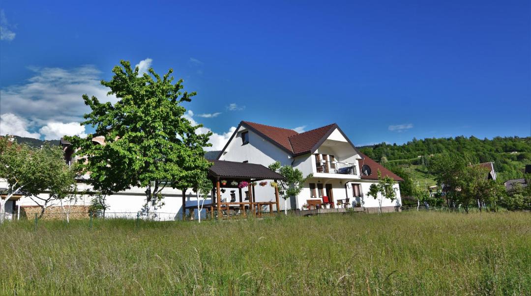 Photo of Others in Plav
