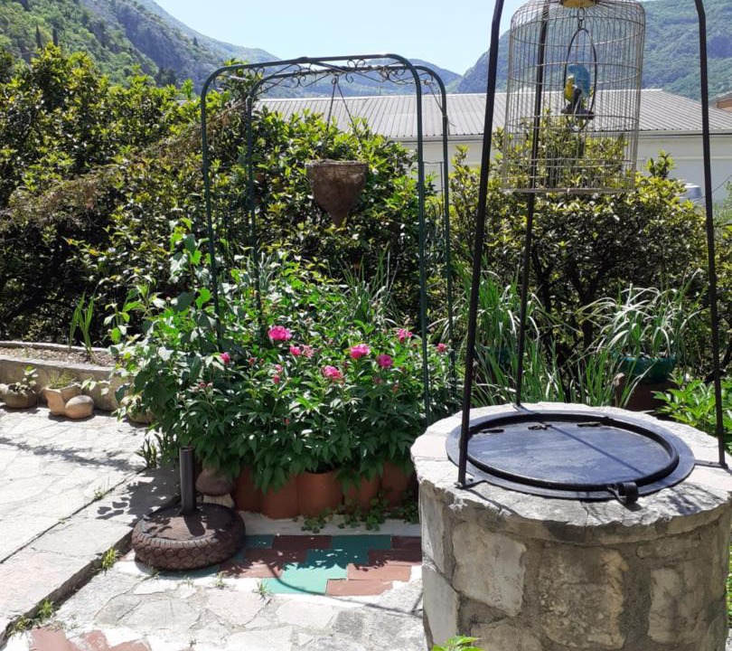 Photo of Others in Kotor