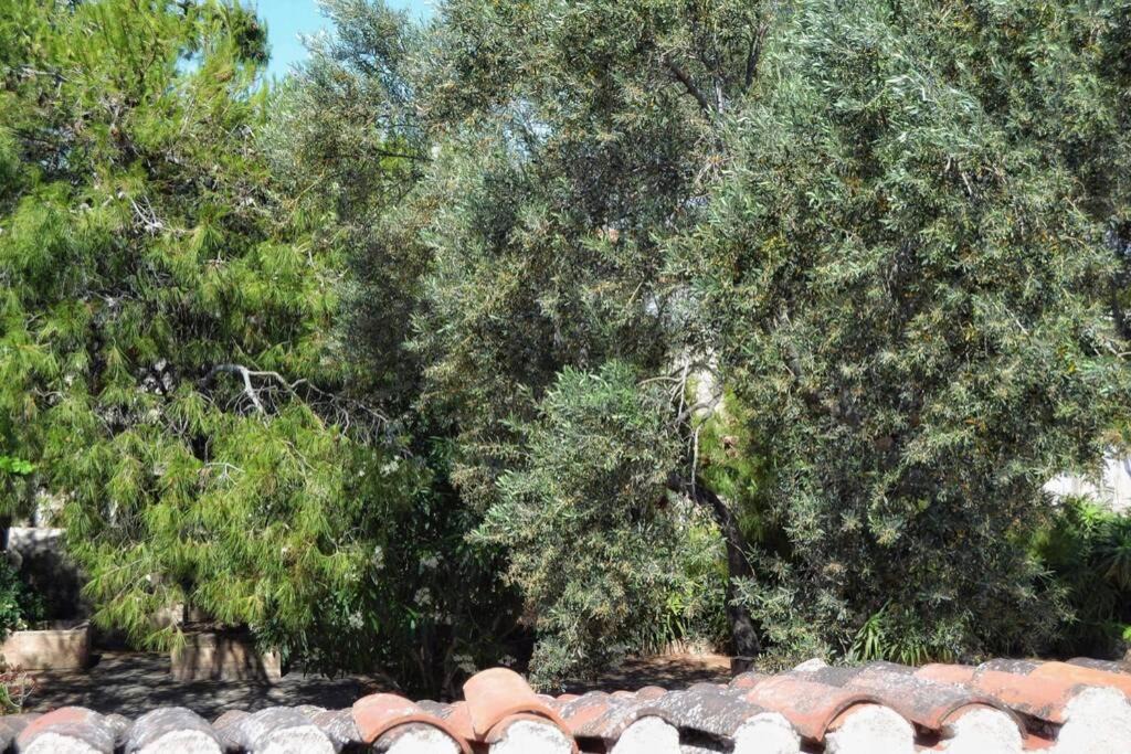 Photo of Others in Aegina Town