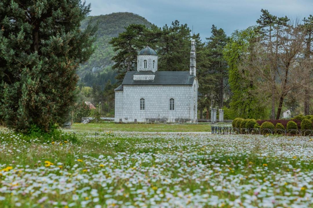 Photo of Others in Donje Polje