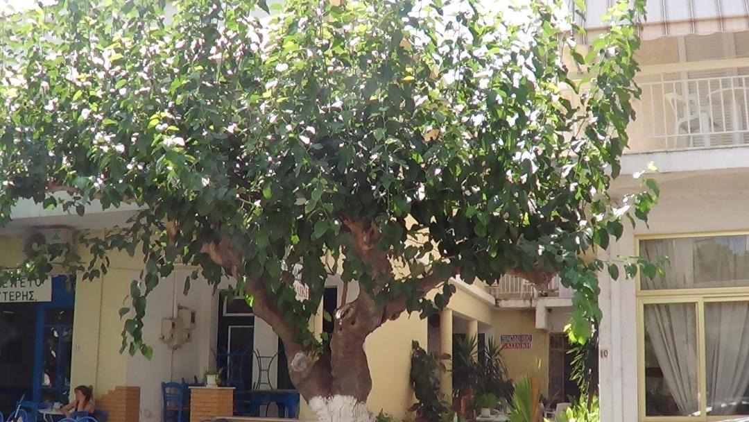Photo of Others in Loutra Edipsou
