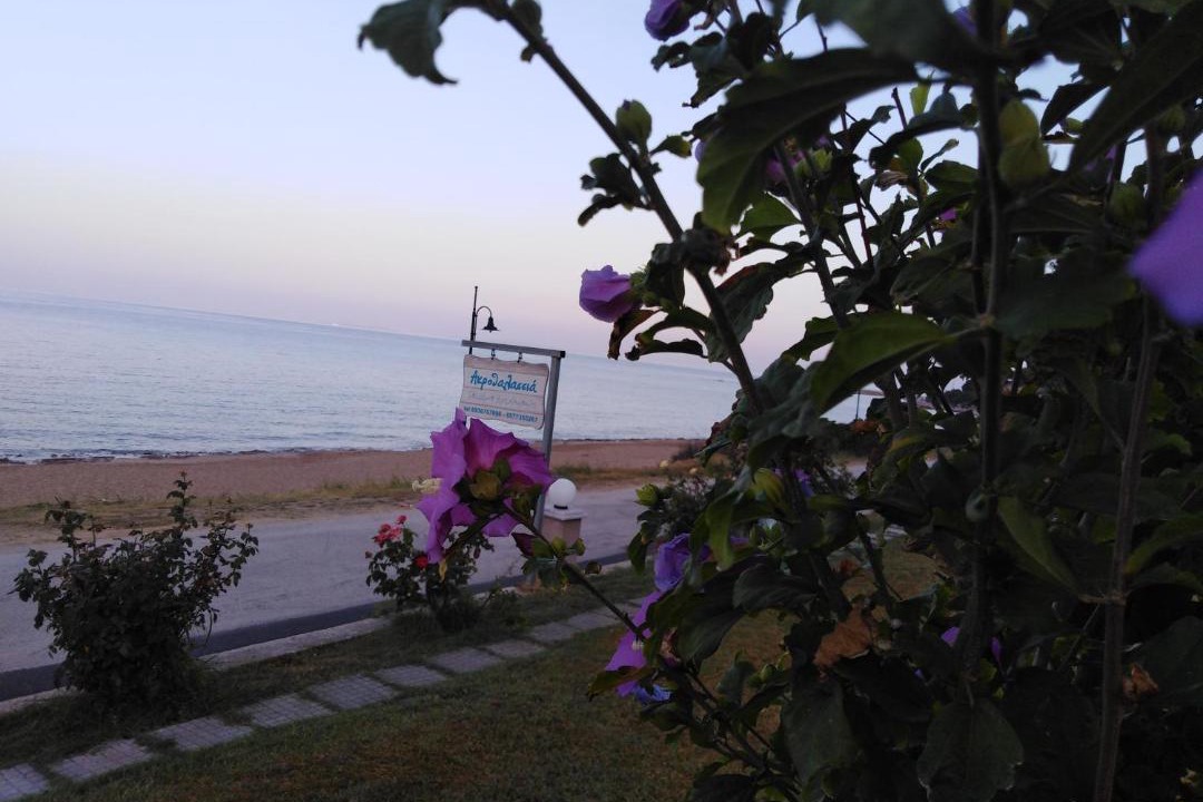 Photo of Others in Lygia