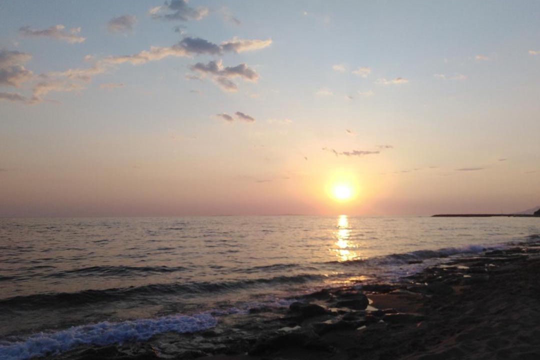 Photo of Others in Lygia