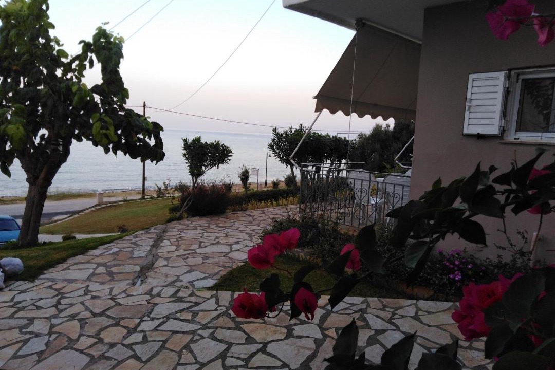 Photo of Others in Lygia