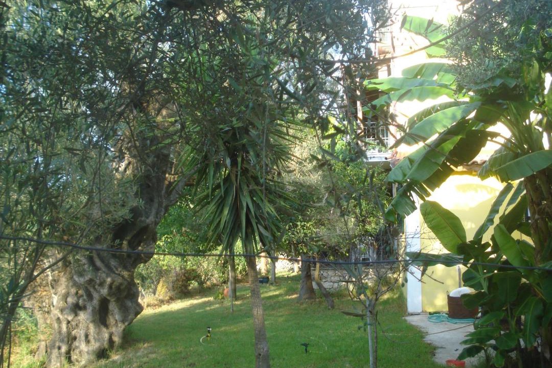 Photo of Others in Limni Keri