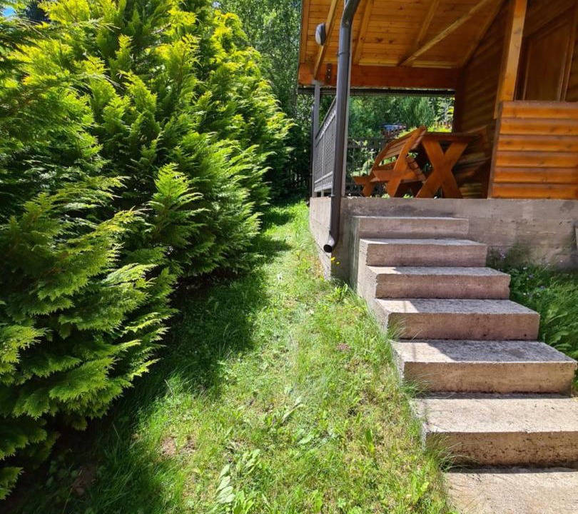 Photo of Others in Montenegro
