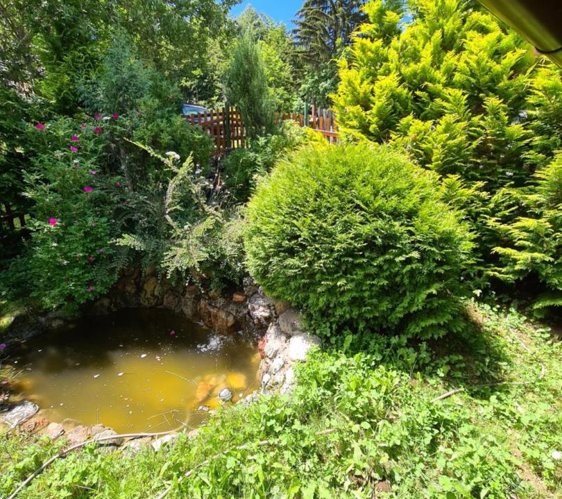 Photo of Outdoor in Montenegro