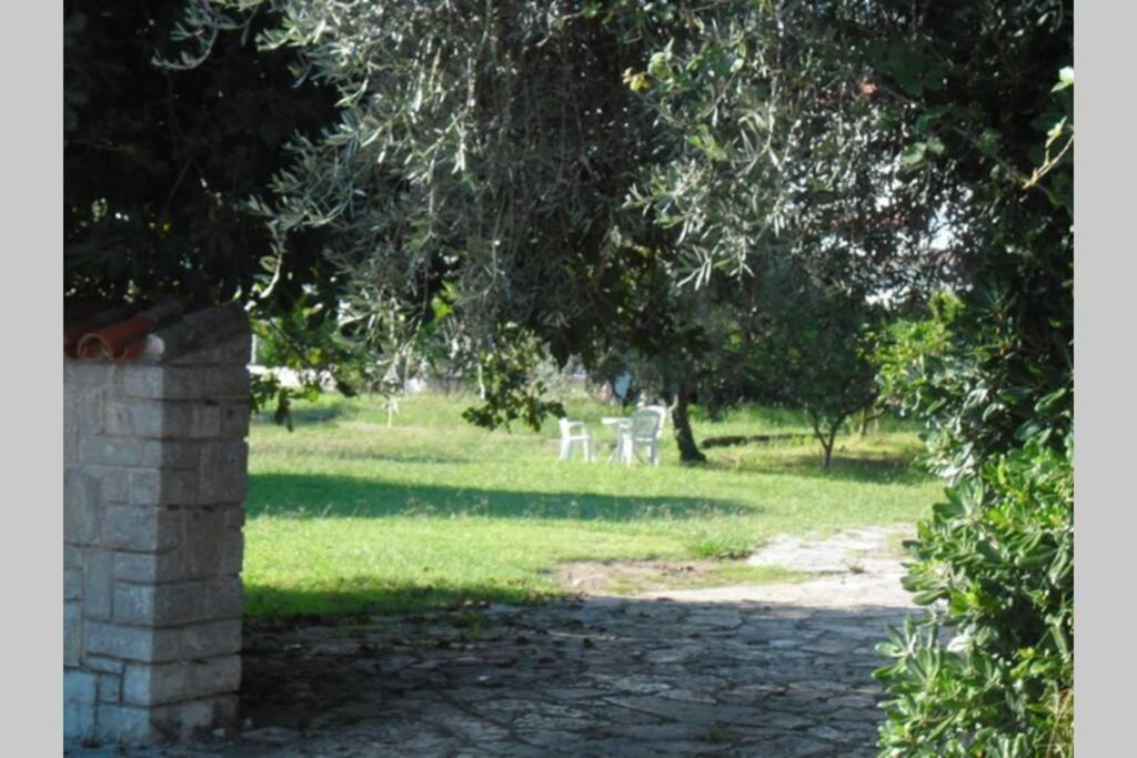 Photo of Others in Kaluđerac