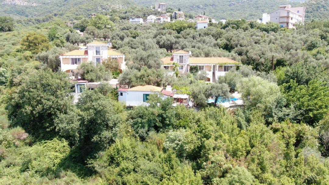 Photo of Others in Boreti