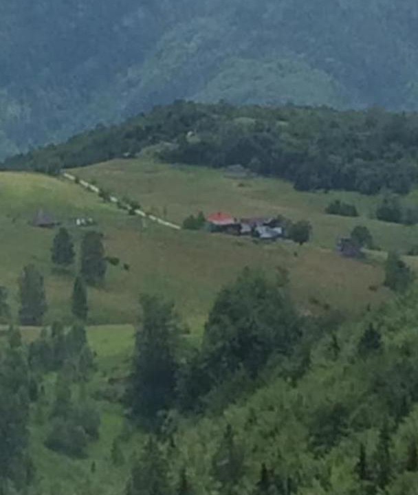 Photo of Outdoor in Ninkovici