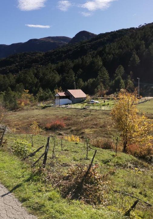 Photo of Others in Grahovo