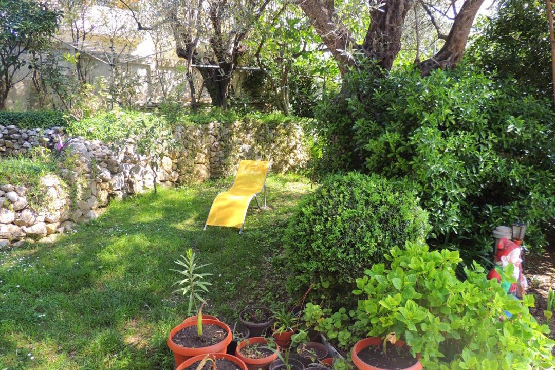 Photo of Others in Becici