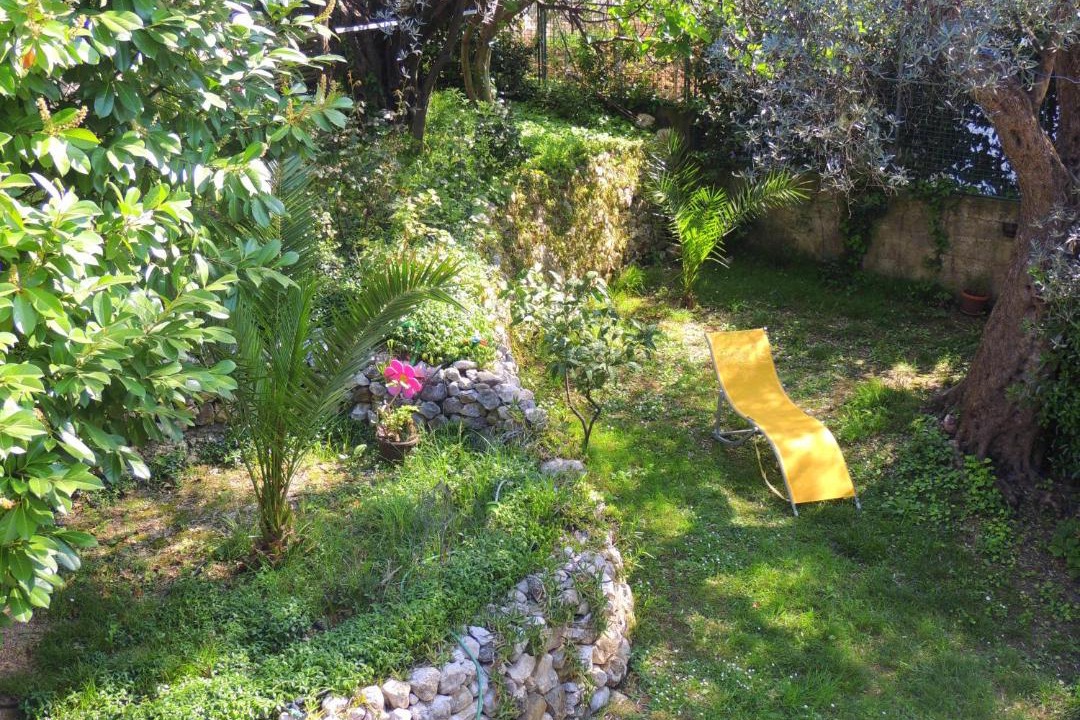 Photo of Others in Becici