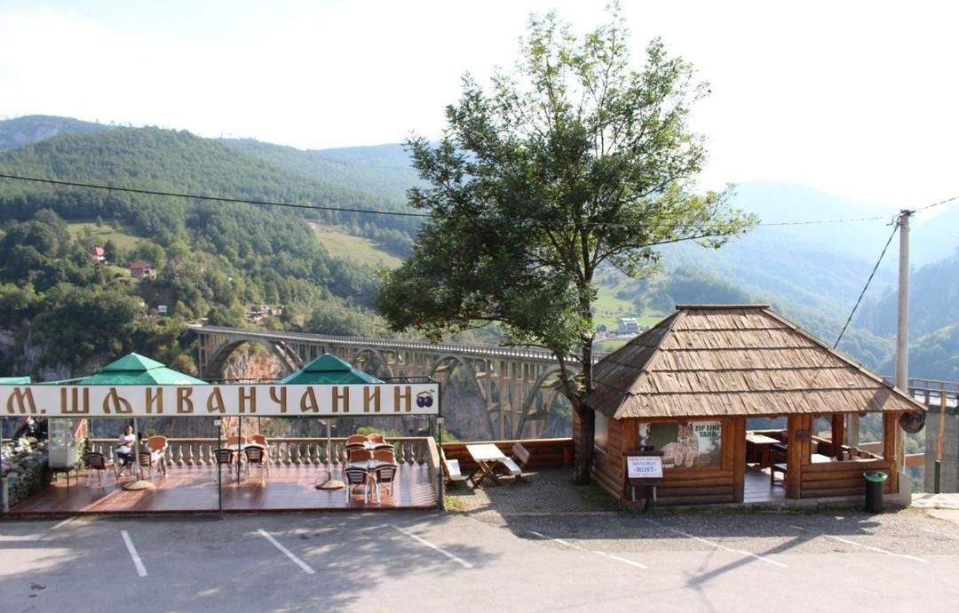 Photo of Others in Montenegro