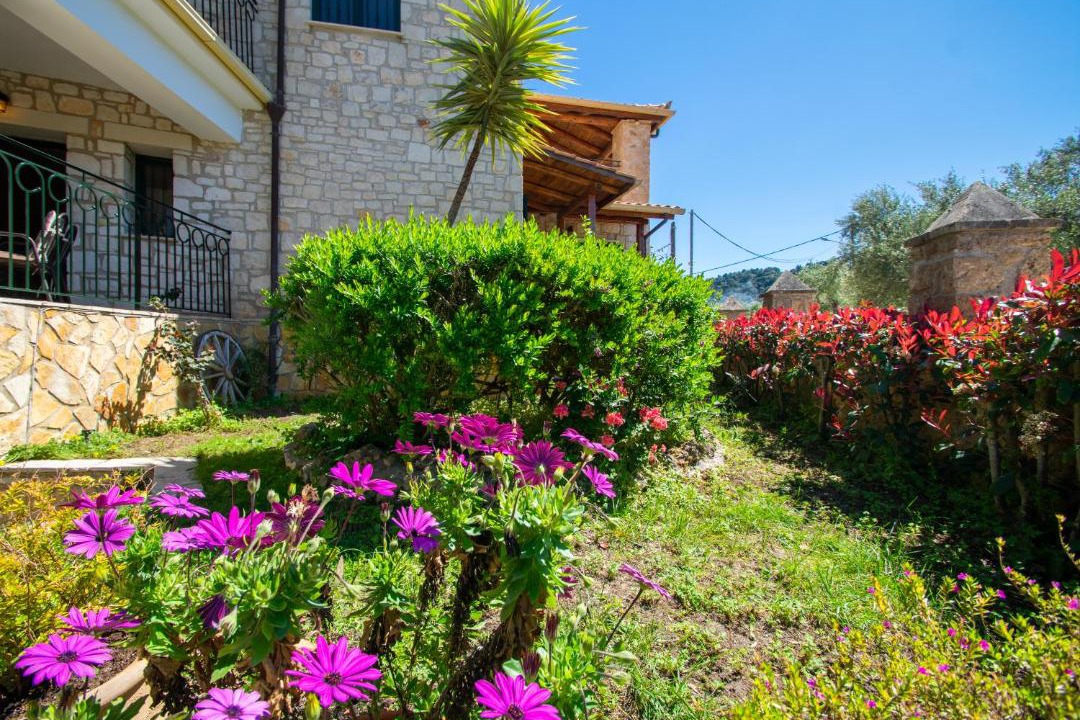 Photo of Buildings in Ano Vasilikos