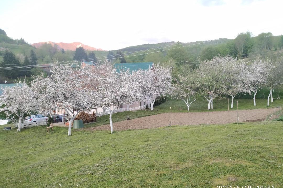 Photo of Others in Kolasin