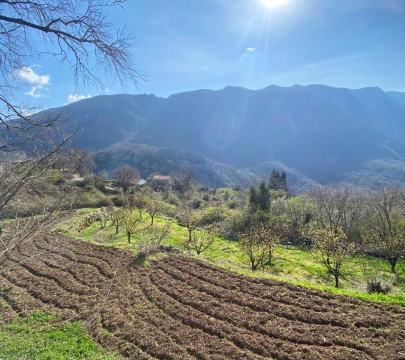 Photo of Others in Limljani