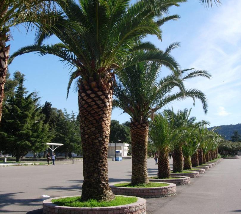 Photo of Others in Zeljeznica