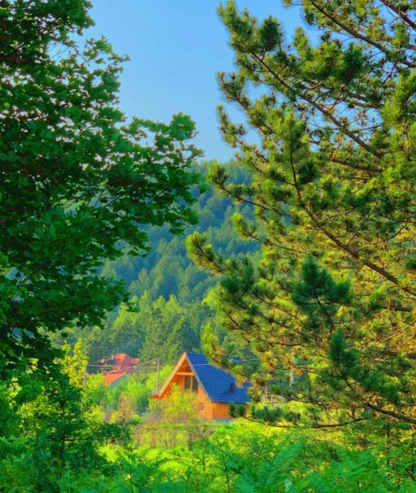 Photo of Others in Grahovo