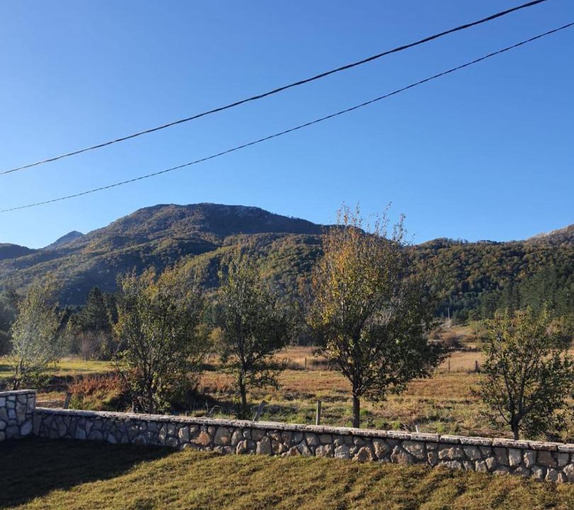 Photo of Others in Grahovo