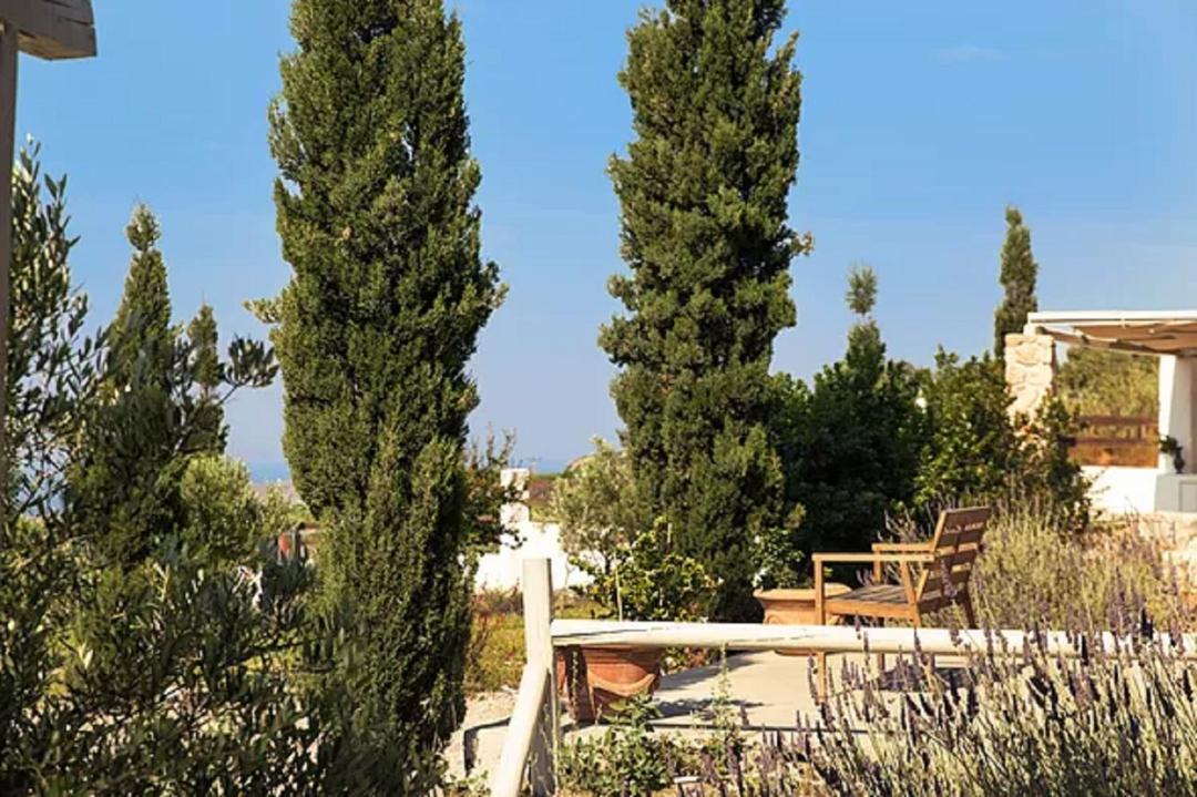 Photo of Others in Santorini