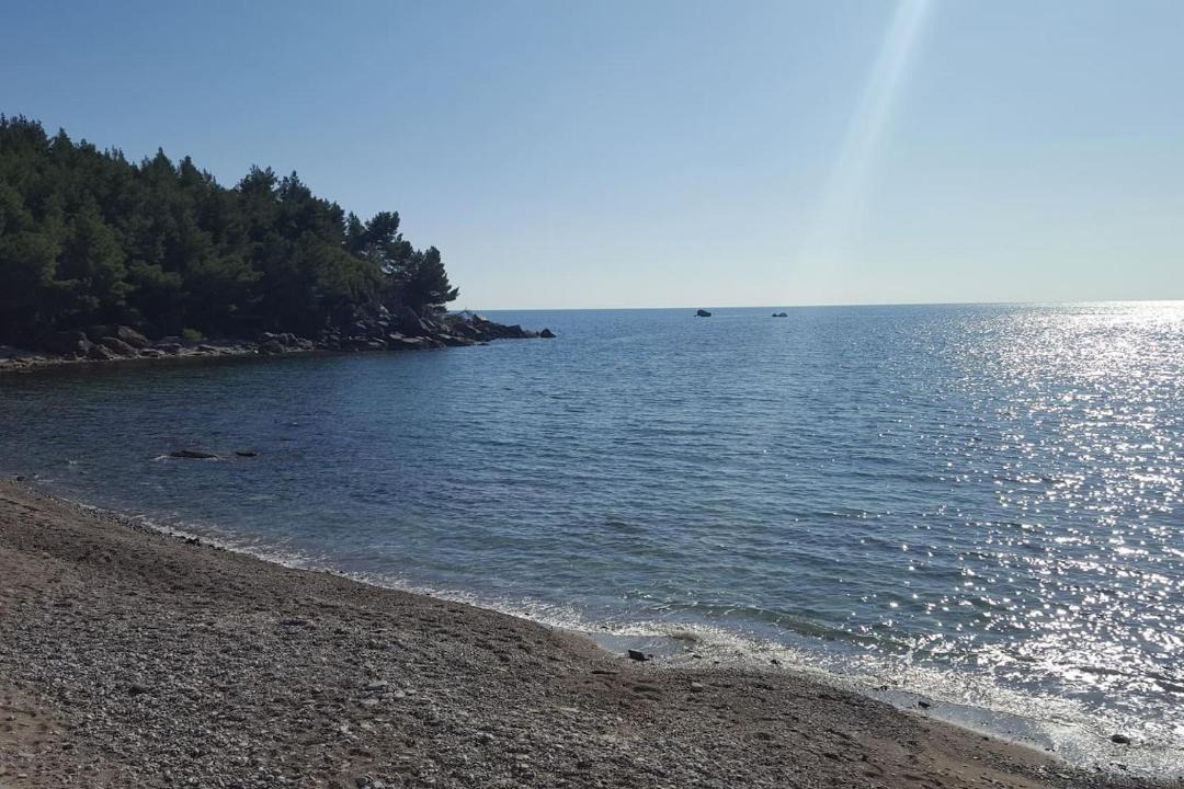 Photo of Others in Sutomore