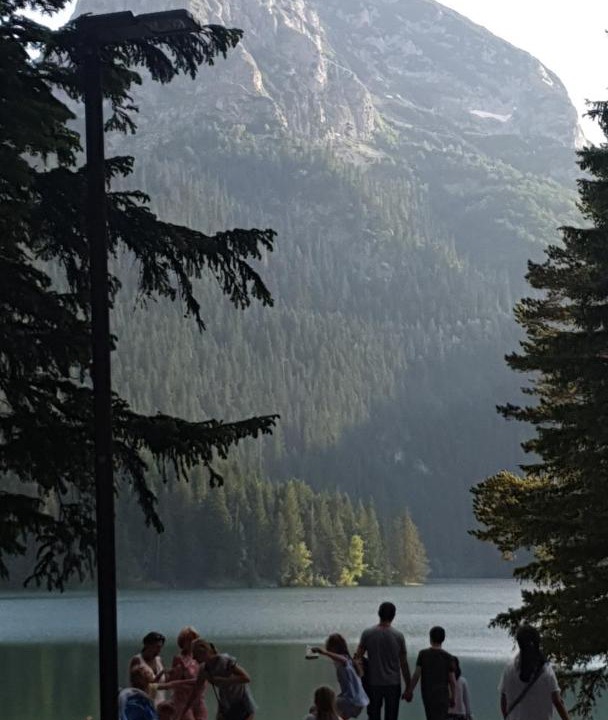 Photo of Others in Zabljak