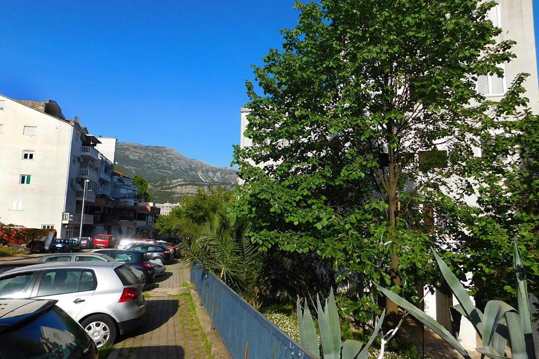 Photo of Others in Golubovina