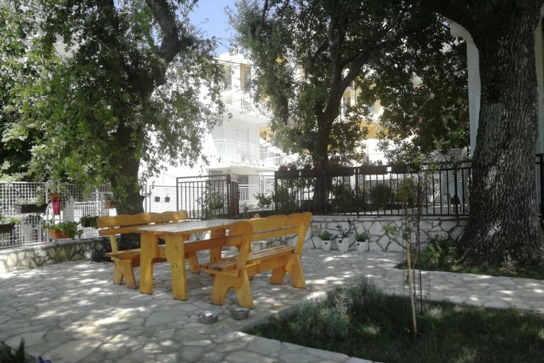 Photo of Others in Sutomore