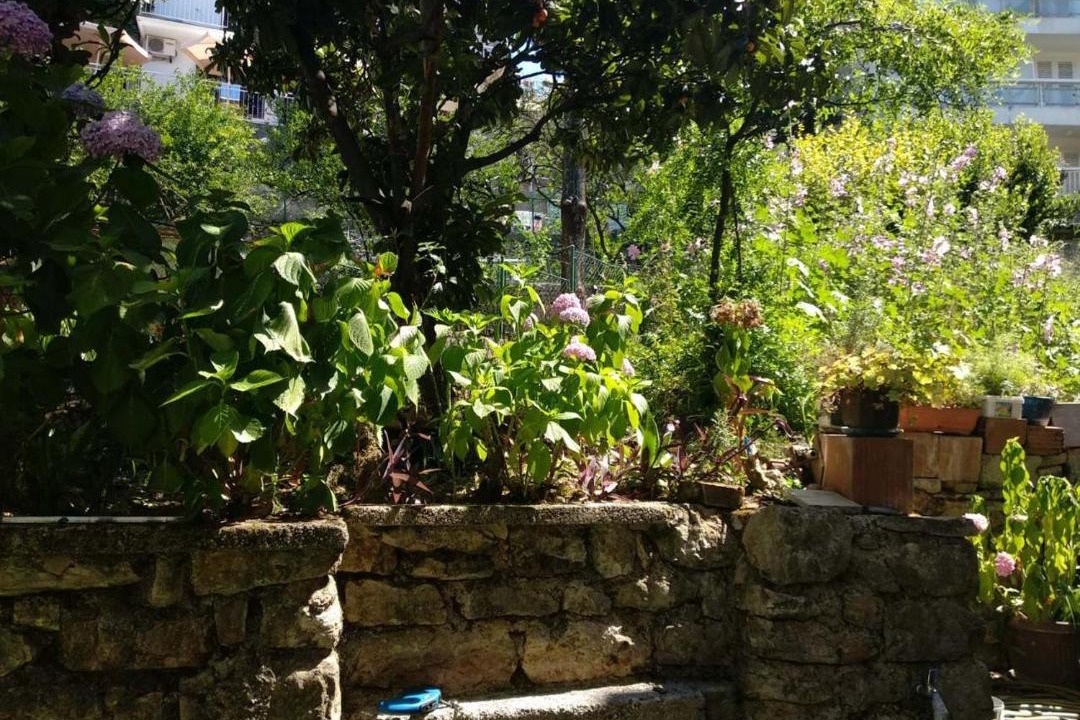 Photo of Others in Herceg Novi