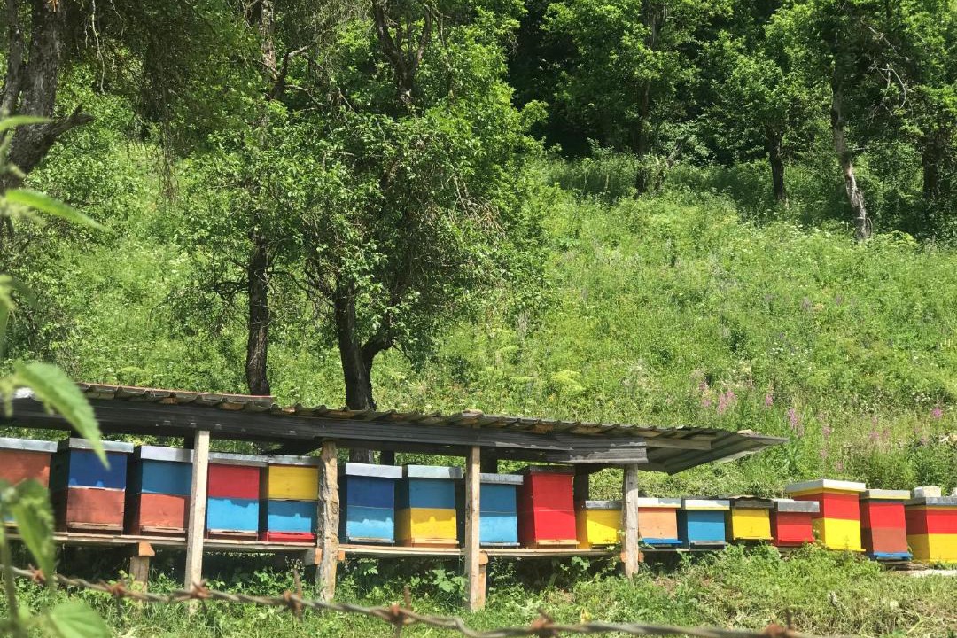Photo of Others in Vusanje