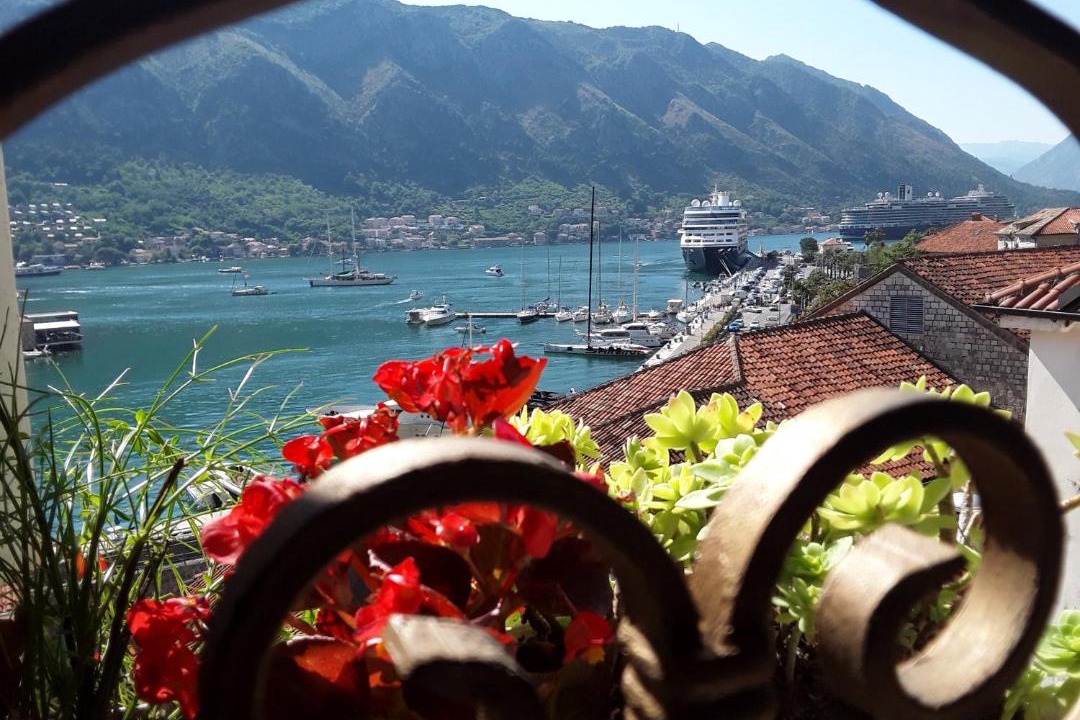 Photo of Others in Kotor Old Town