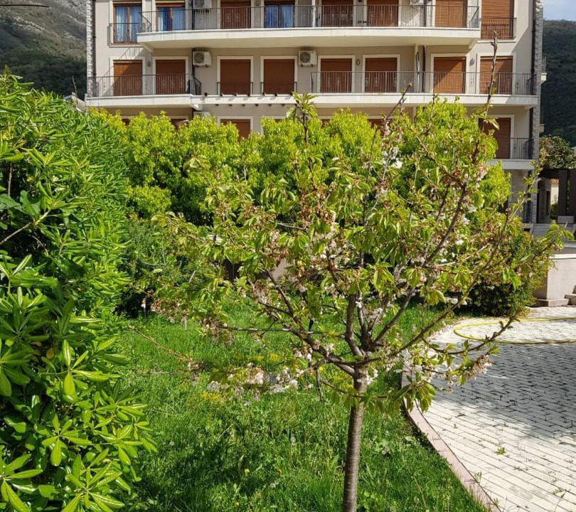 Photo of Others in Baosici