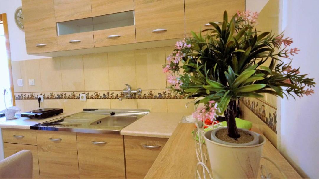Photo of Kitchen in Velji Vinogradi