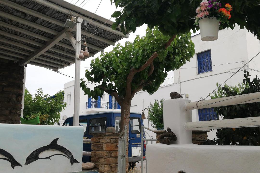 Photo of Others in Tinos Town